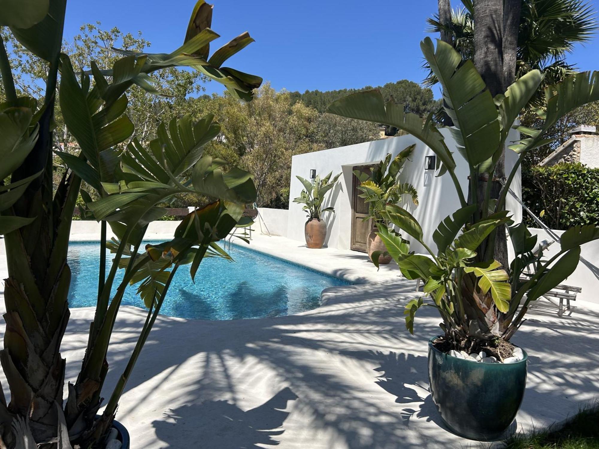 Villa Enri Villa Y Casita Con Piscina Y Jacuzzi Parcent Exteriér fotografie